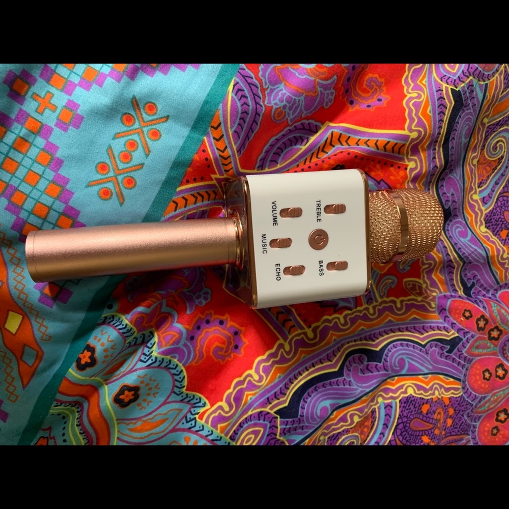 karaoke microphone :)